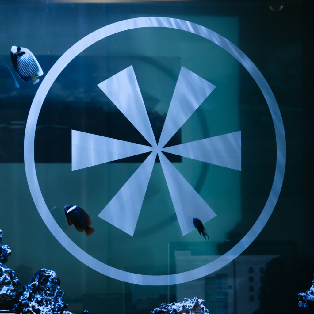 Doc's Notes The Mint Dental